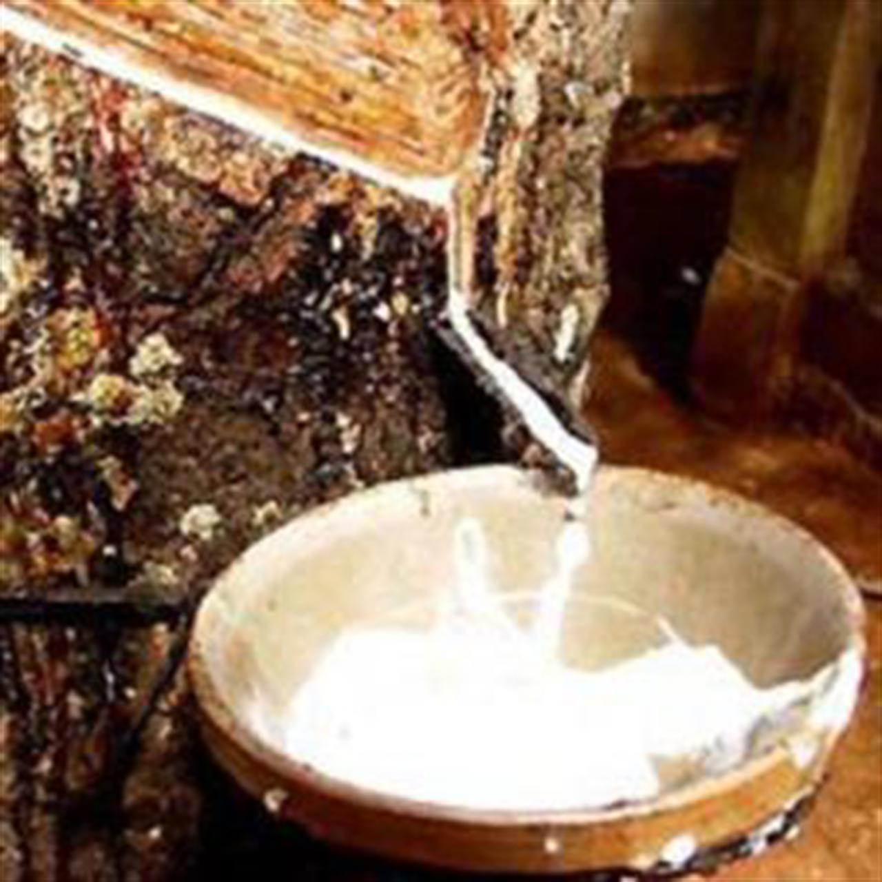 Market on Aug 30: Spot rubber improves on supply concern