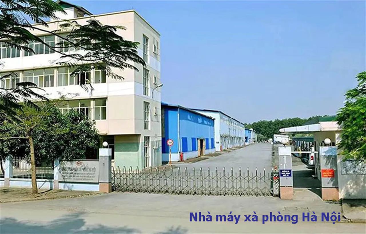 Đổi mới sáng tạo và phát triển khoa học – công nghệ, chuyển đổi số