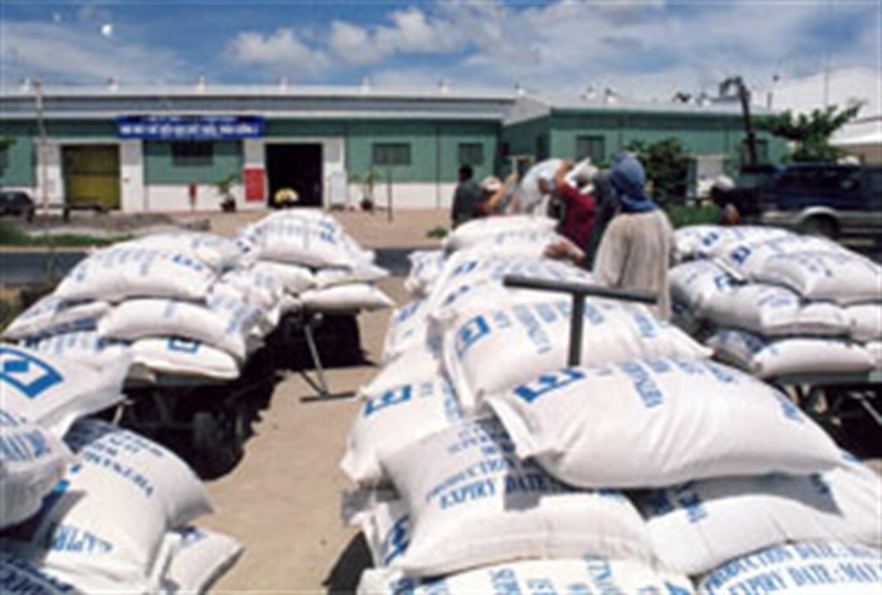 New Year Offers Great Export Market Potential