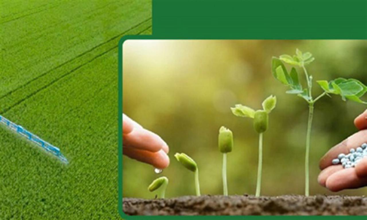 Why is the EU still buying Russian fertilizer?