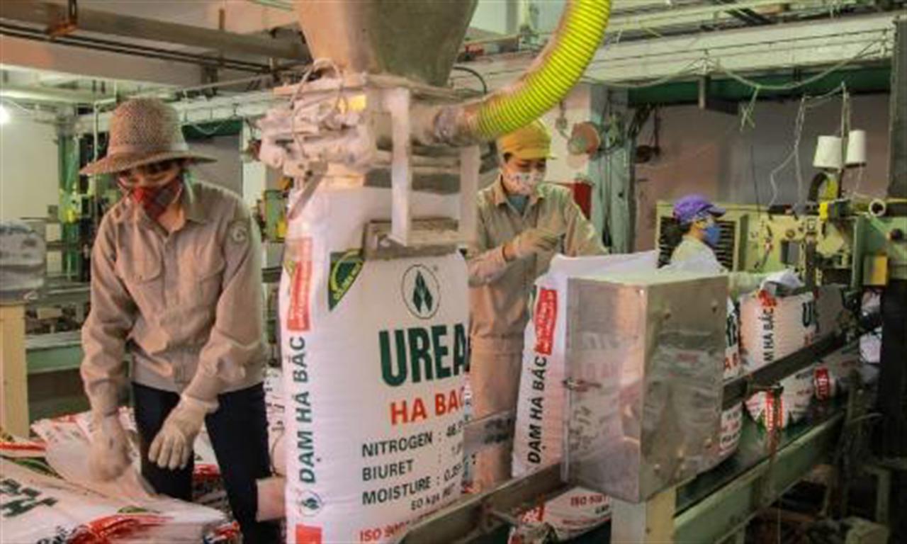 Fertilizer market: Domestic prices closely follow world's rising trend