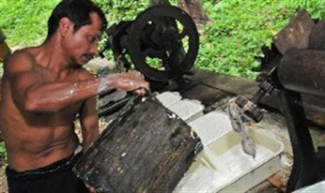 The Price Crisis Part IV: China Stretches Rubber Demand