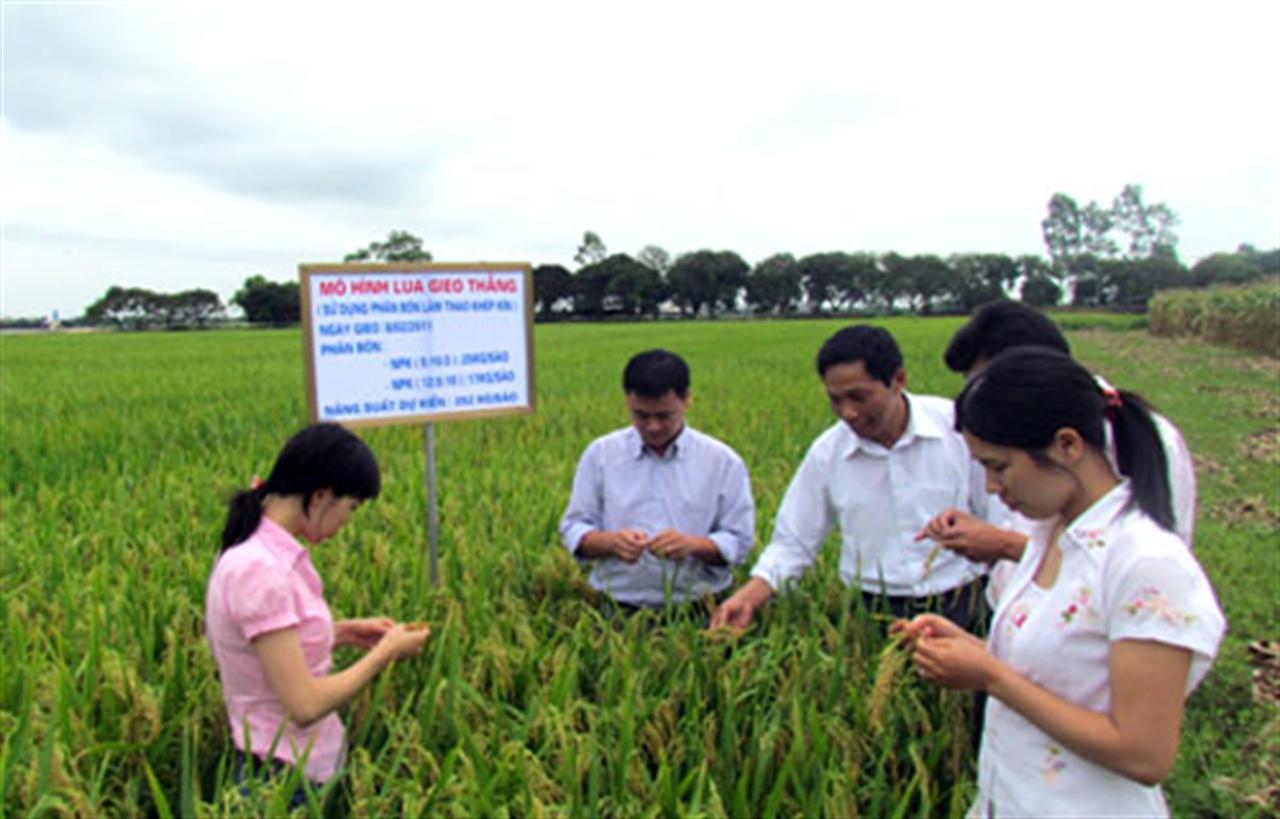 Phân bón Lâm Thao: Khẳng định ưu thế chất lượng trên thị trường trong nước và các nước khu vực châu Á