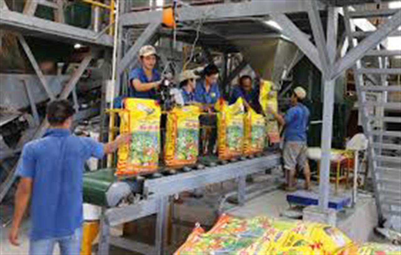 "Phân bón chịu thuế GTGT 5% giúp doanh nghiệp trong nước có dư địa tăng công suất"