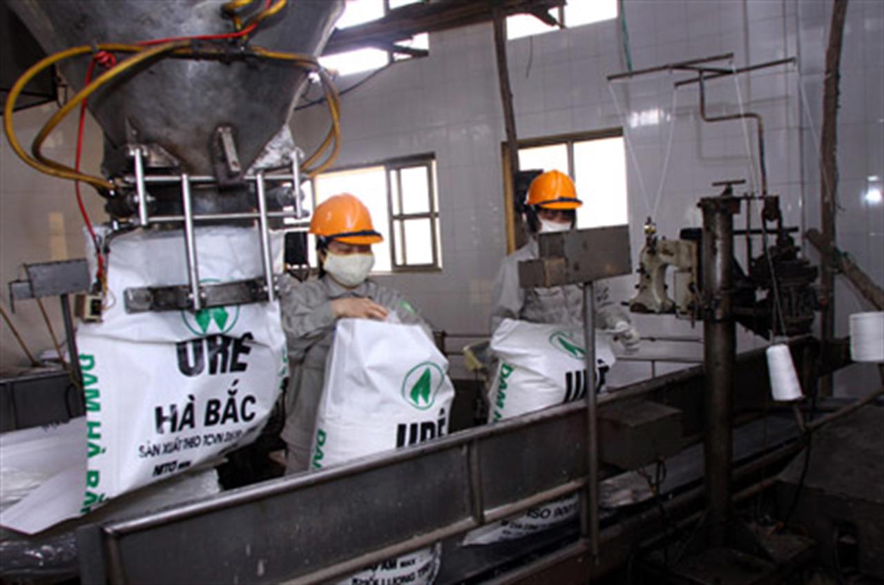 Quản lý sản xuất phân bón bằng giấy phép