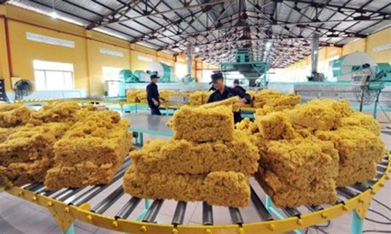 Thế giới có thể thiếu hụt nguồn cung cao su trong năm 2023