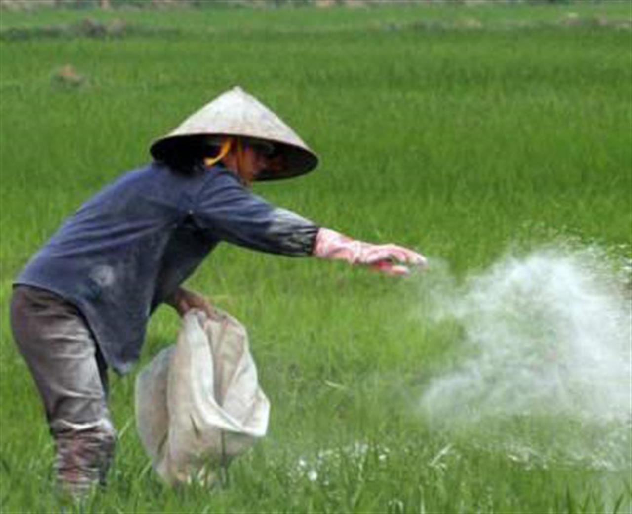 Báo động tình trạng lạm dụng phân bón, thuốc bảo vệ thực vật trong nông nghiệp