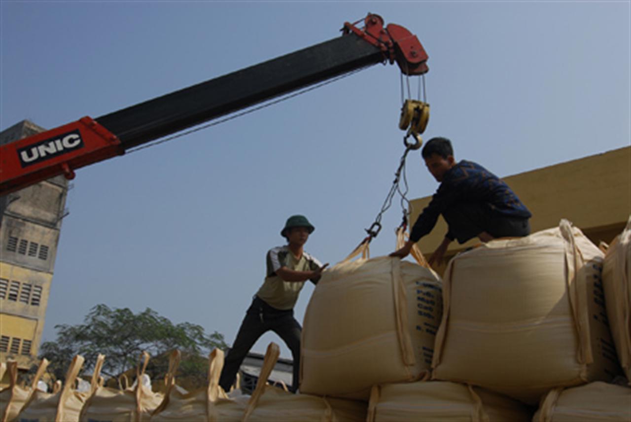 Đề nghị bình ổn giá phân bón, thuốc trừ sâu...