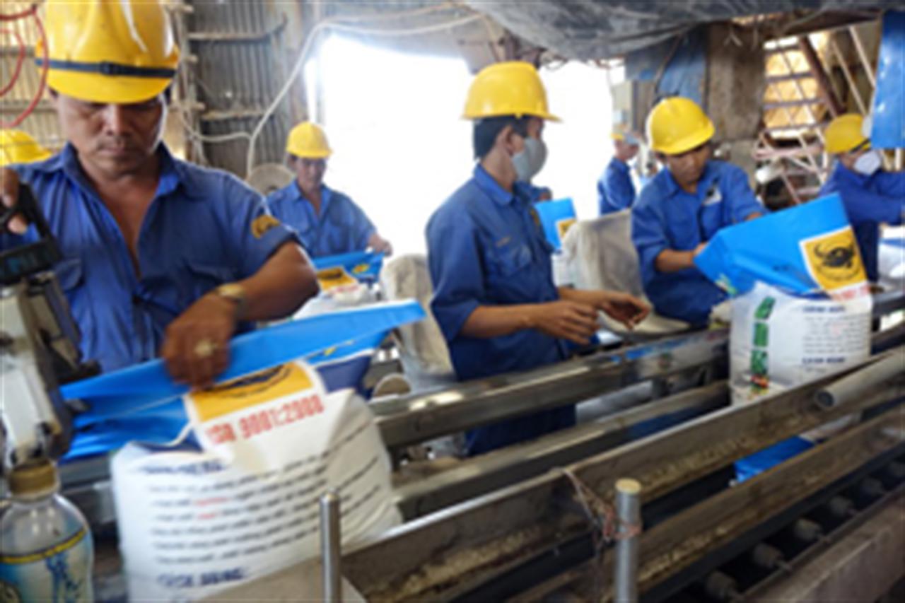 “Tự vệ” trước phân bón giả