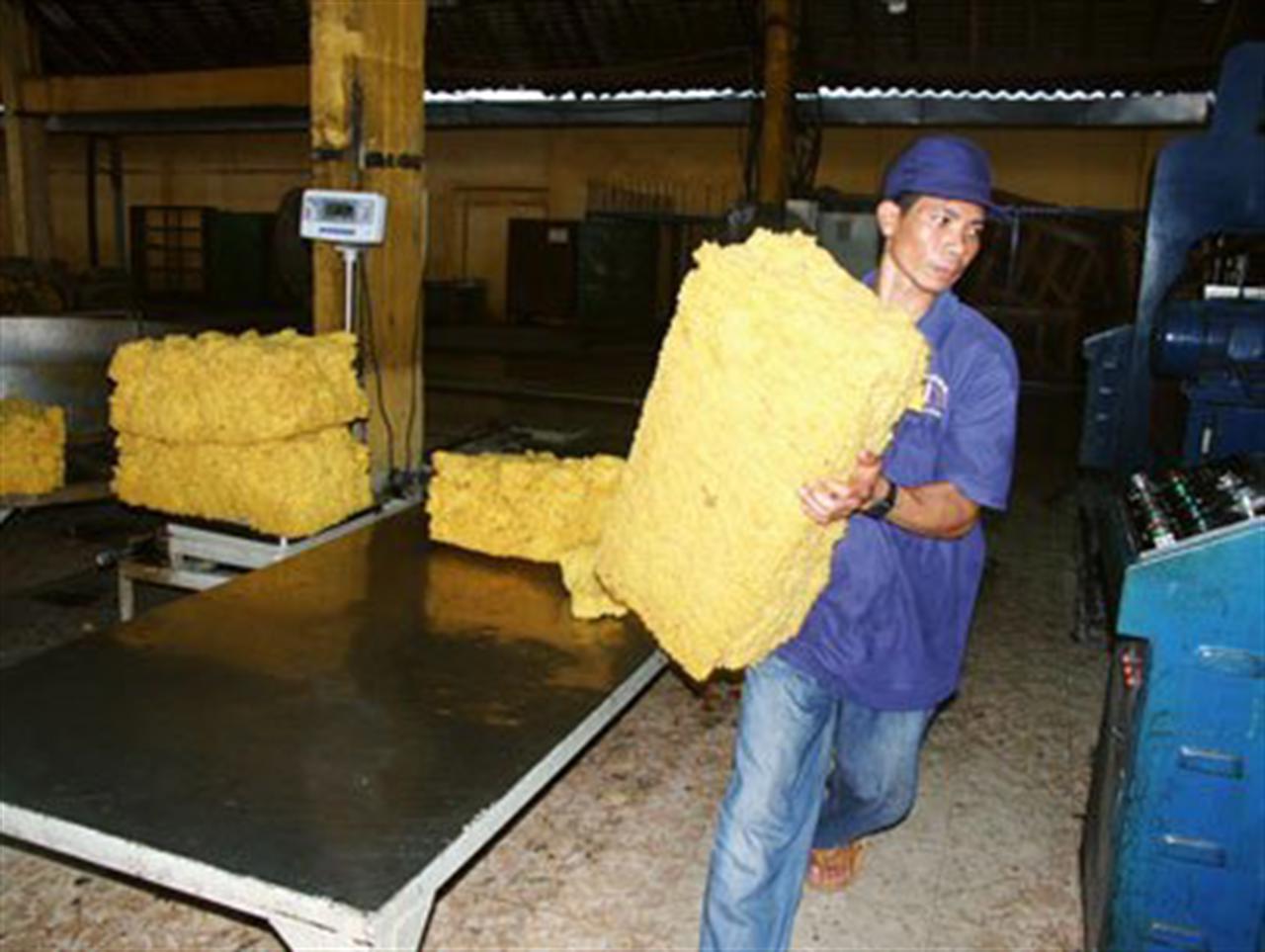 Thái Lan đình chỉ xuất khẩu cao su tránh mất giá