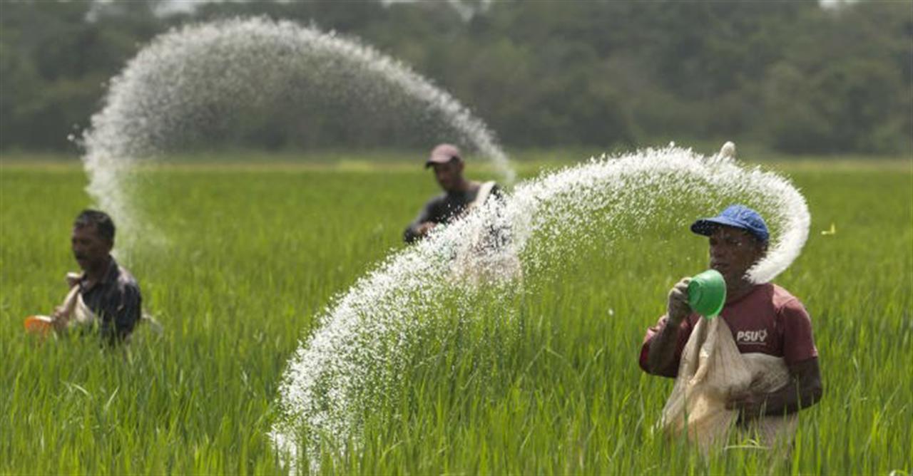 Sản lượng phân Urê nhập khẩu giảm 16%