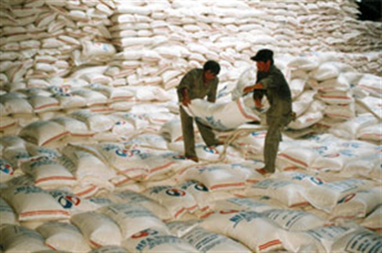 Vietnam-Middle East Trade Ties Mature