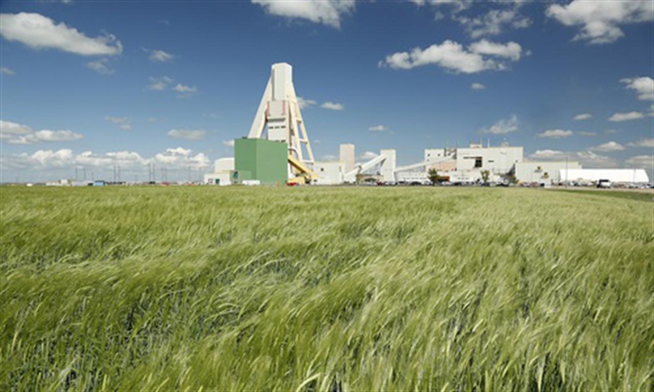 Nutrien misses third-quarter profit estimates as lower crop prices weigh