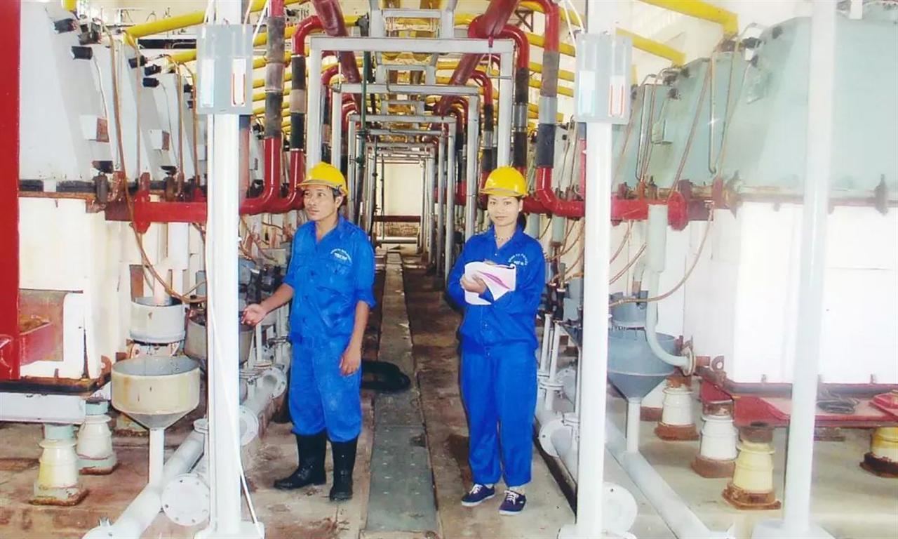 Luật Hoá chất (sửa đổi): Cơ hội để kinh tế Việt Nam bứt phá