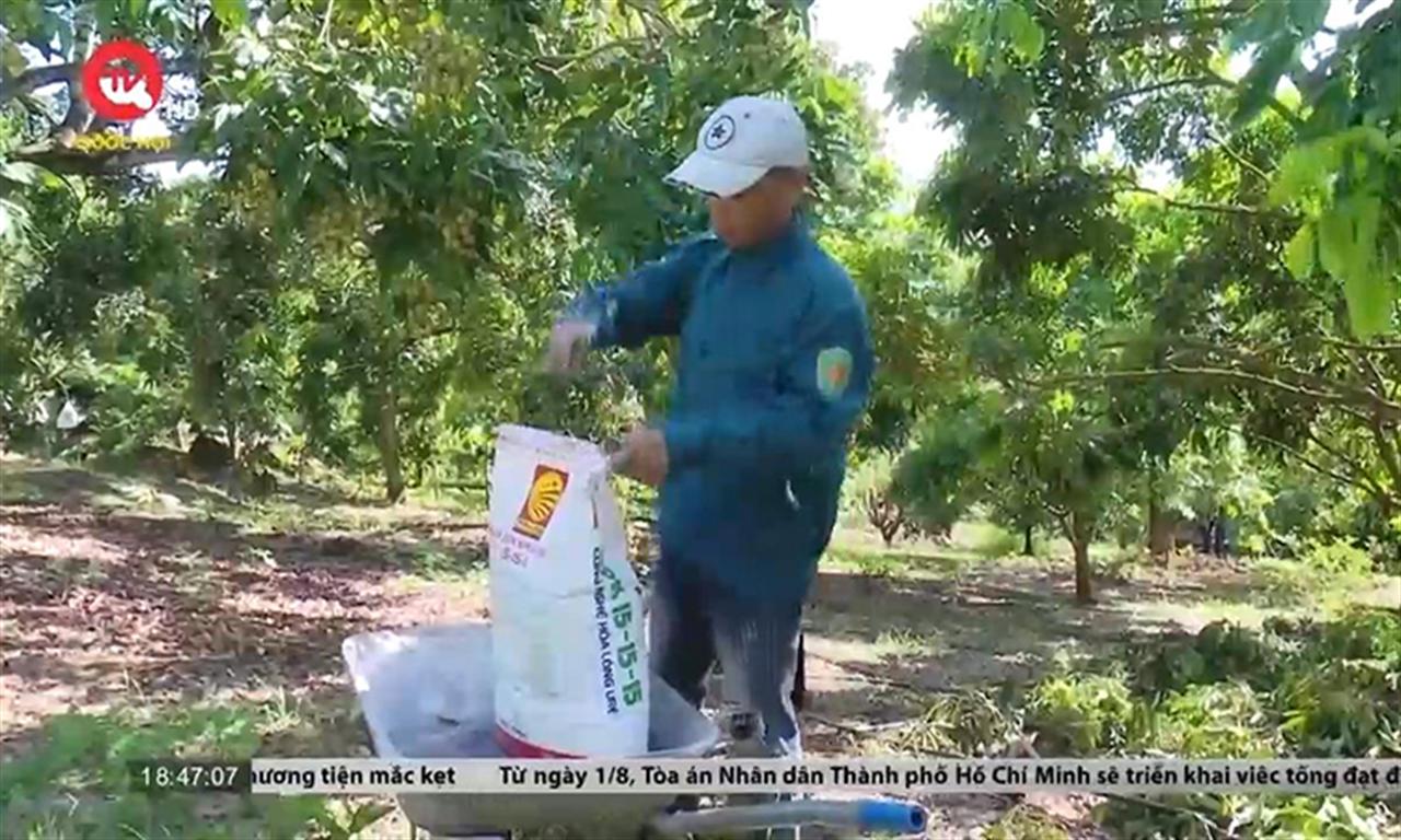 Giá phân bón cao ngất ngưởng - Nông dân Sơn La chật vật cầm cự