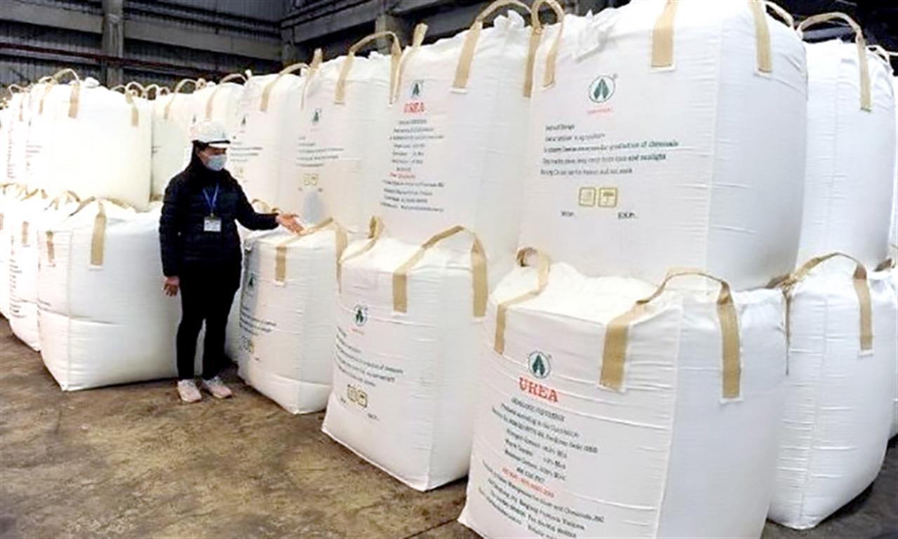 Xuất khẩu phân bón Việt Nam thu về hơn 700 triệu USD