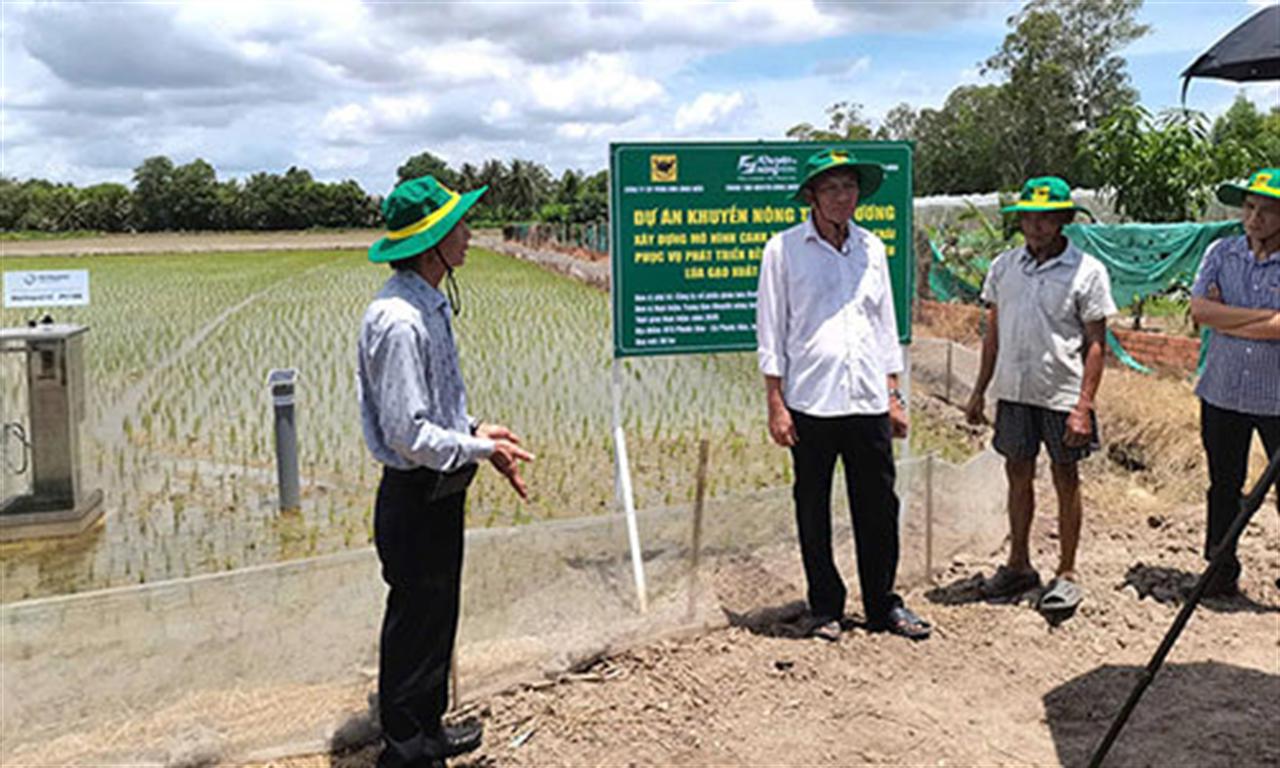 Bình Điền đẩy mạnh Dự án "Xây dựng mô hình canh tác lúa giảm phát thải phục vụ phát triển bền vững"