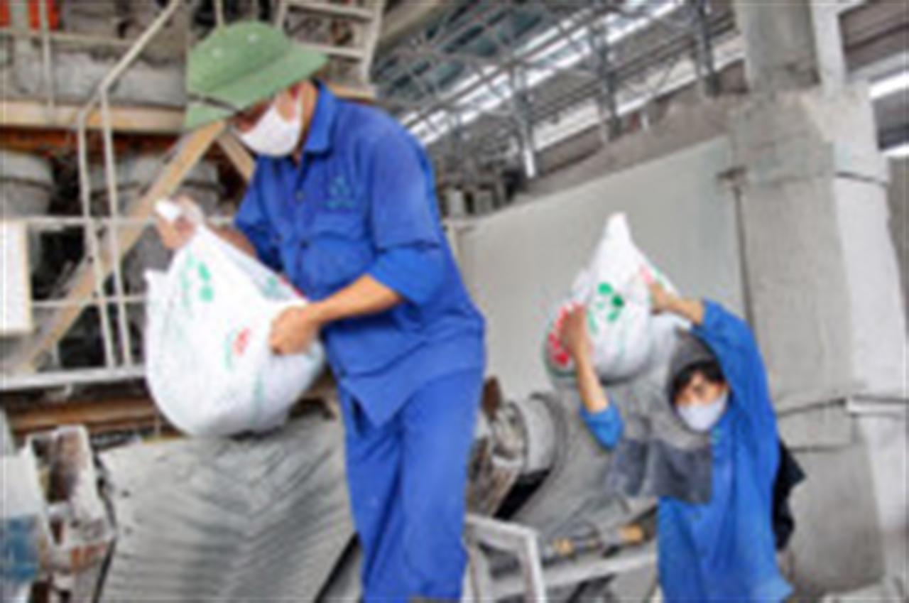 Quản lý chặt thị trường phân bón