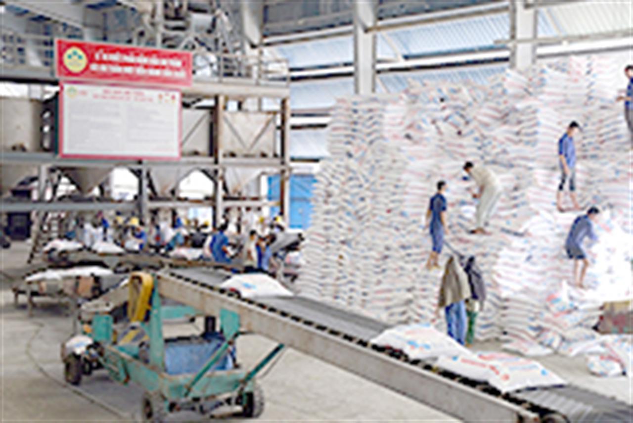 Ngăn chặn nạn sản xuất phân bón giả, kém chất lượng