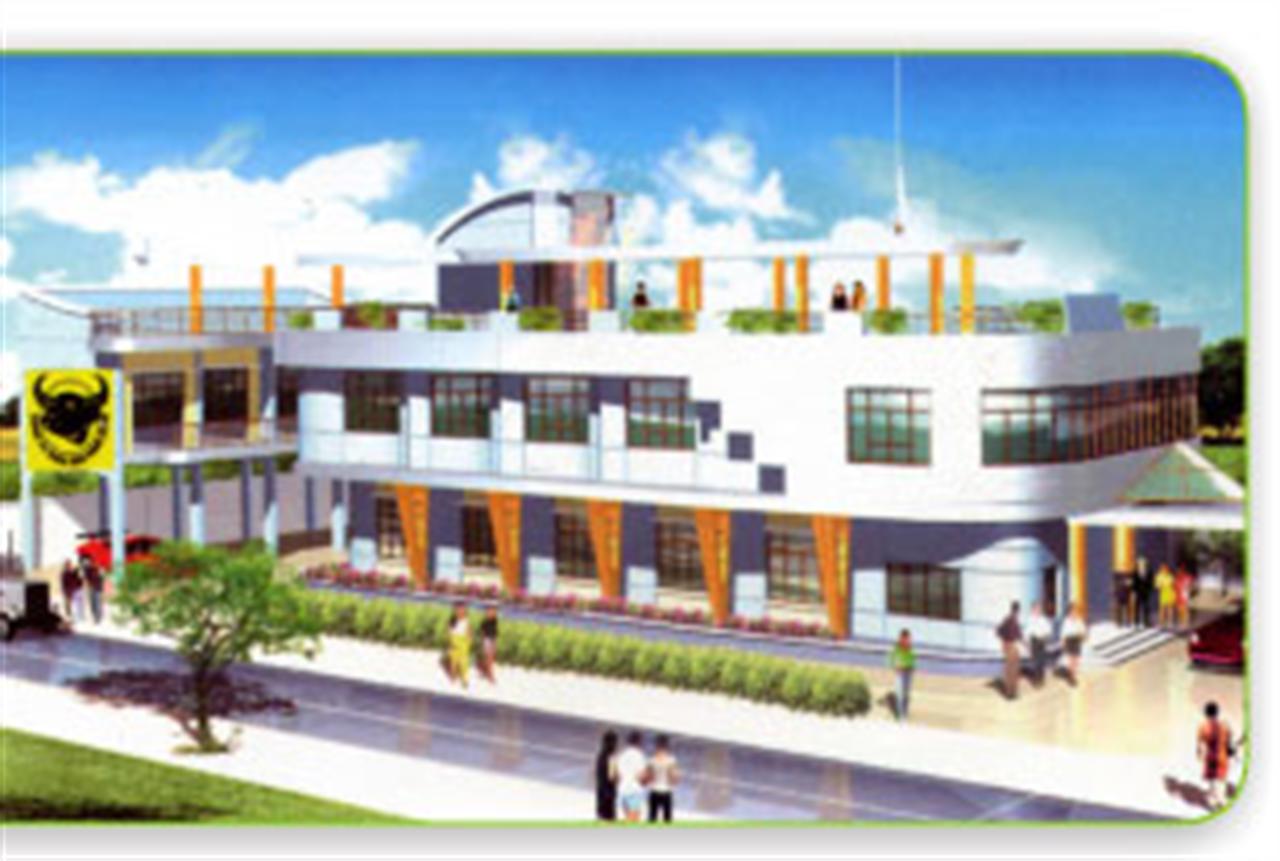 Bình Điền: các chỉ tiêu tăng trên 60% so với cùng kỳ năm 2010