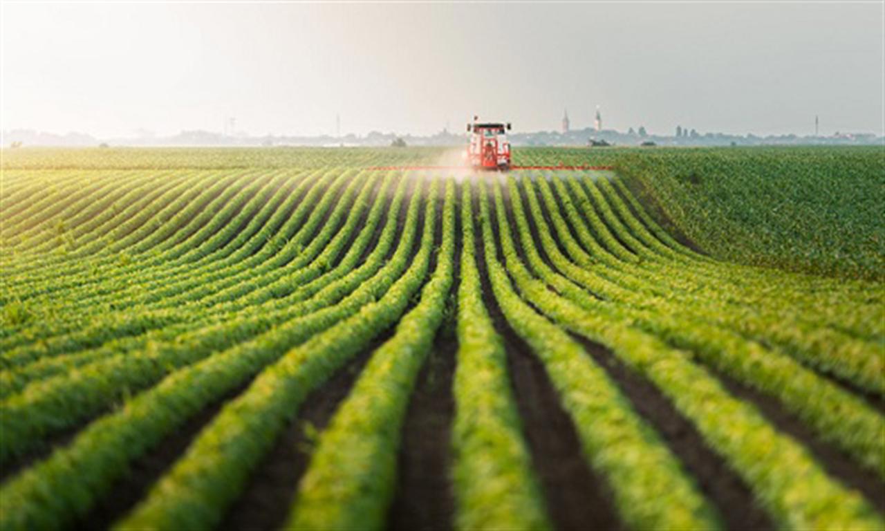 North America to lead global ammonia capacity additions by 2030