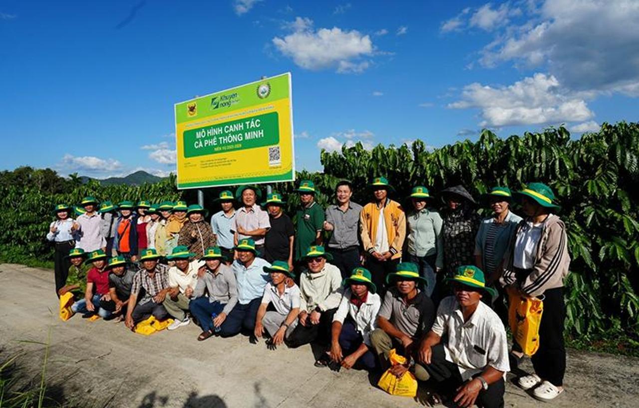 Smart Coffee Cultivation in Đắk Hà: Healthier Trees, Better Fruit Retention, Lower Emissions