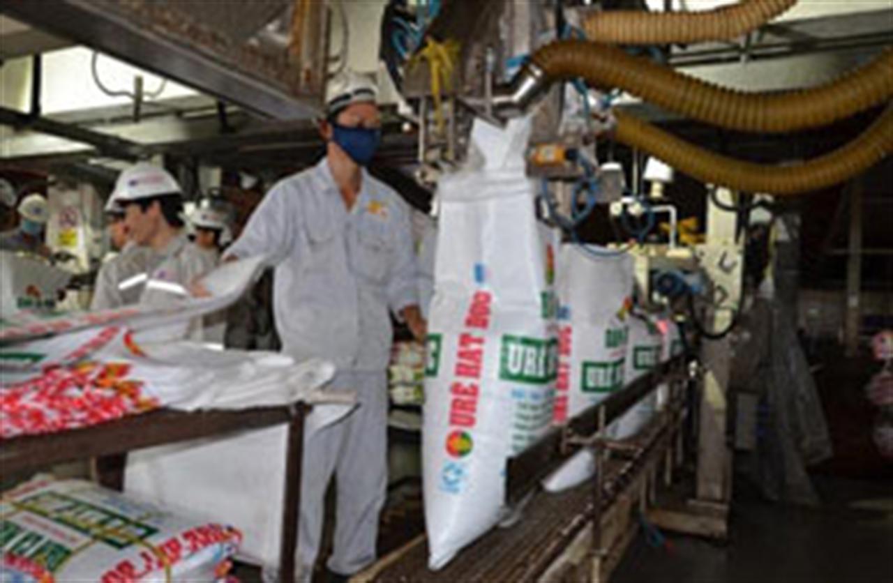 Sản xuất phân bón teo tóp theo El Nino