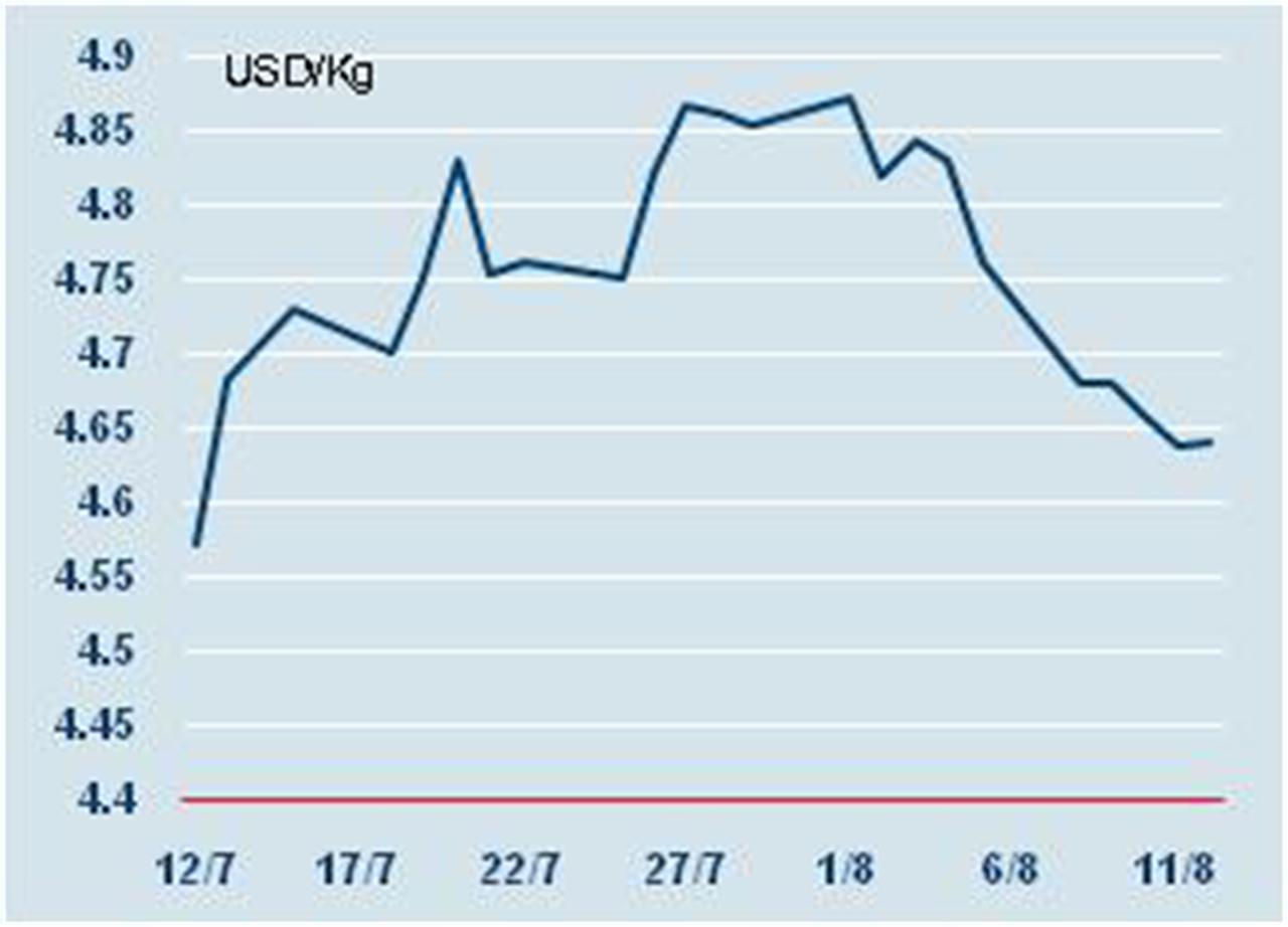 Thị trường cao su tuần 8/8 - 12/8: Giá tiếp tục giảm