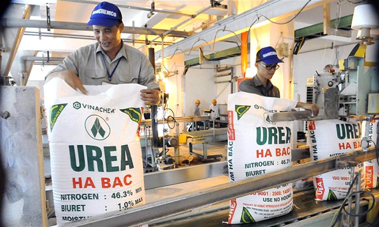 Đạm Hà Bắc “hồi sinh” và bài toán tái cơ cấu để phát triển bền vững