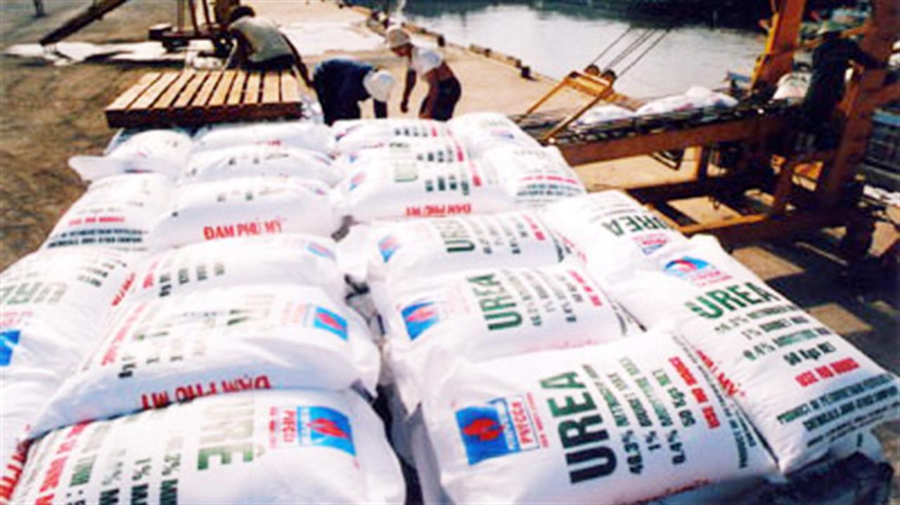 Phân bón giả: Hậu quả khôn lường