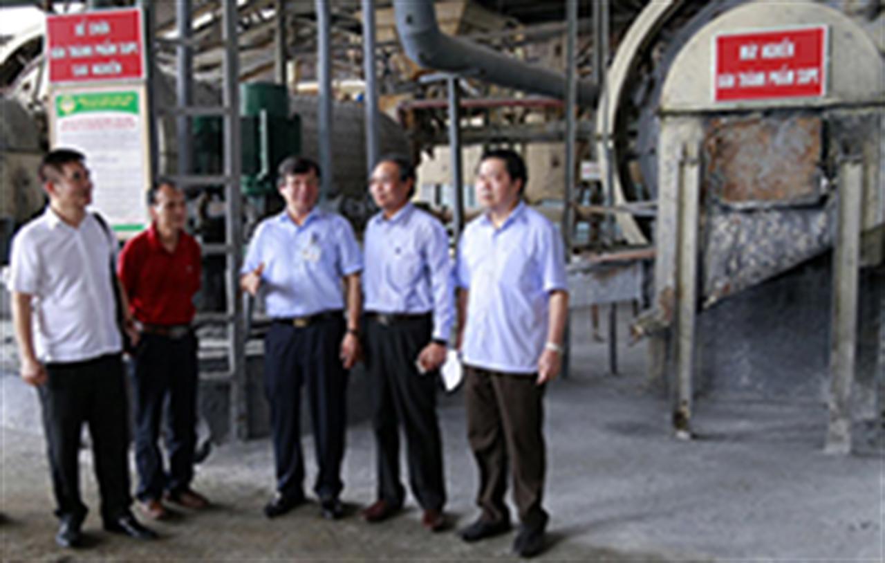 Supe Lâm Thao ghi danh trong “Sách Vàng sáng tạo công nghệ VN"