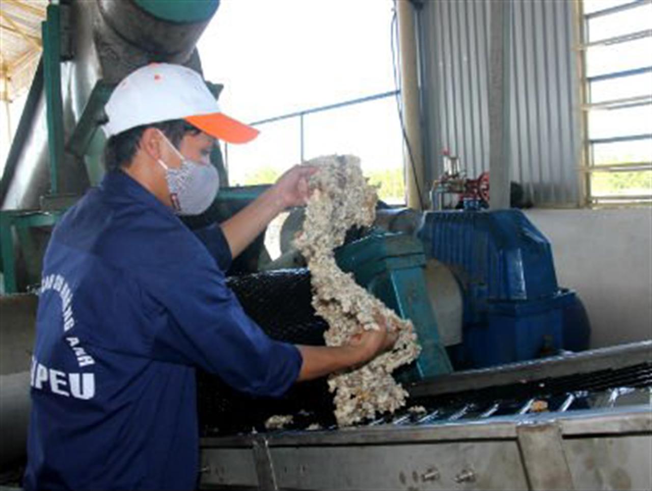 Công nghiệp cao su thắng lớn