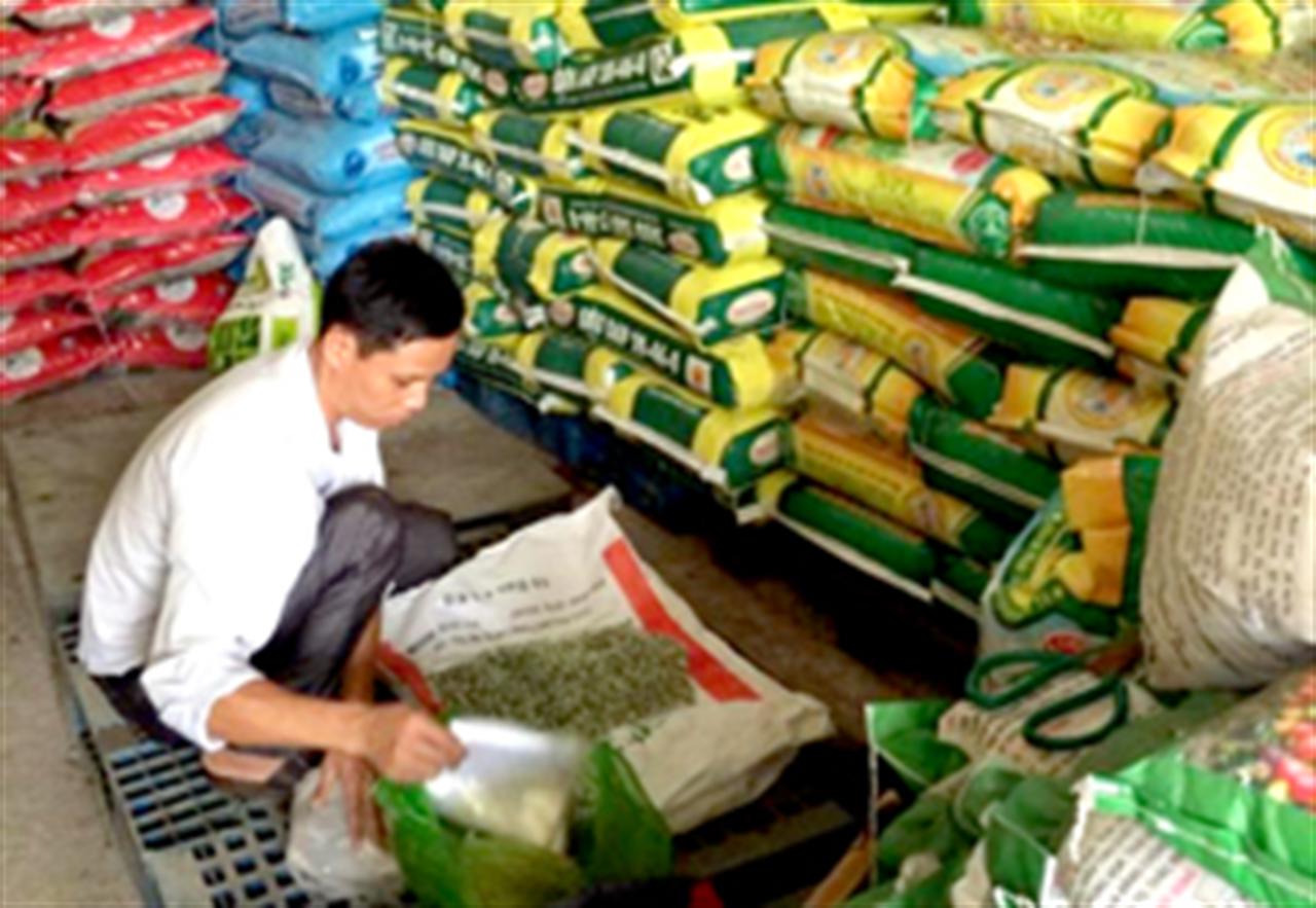 Thủ tướng chỉ đạo xử lý nghiêm tổ chức, cá nhân sản xuất, buôn bán phân bón giả