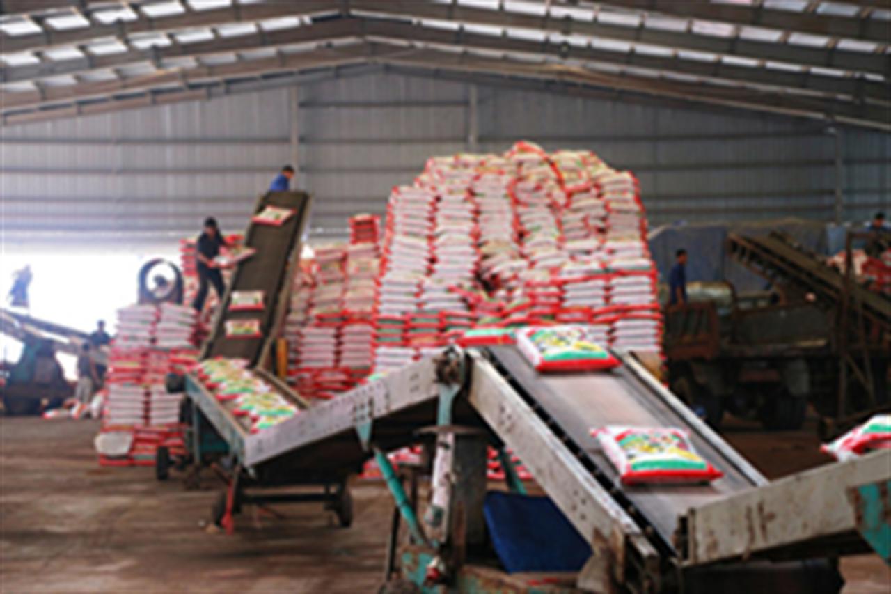 Supe Lâm Thao cung ứng 4.756 tấn phân bón trả chậm