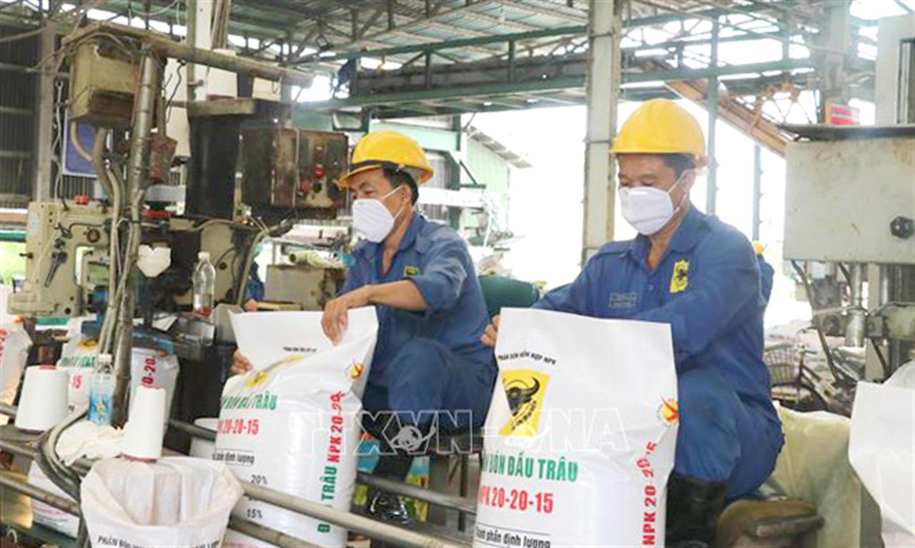 Giá phân bón trong nước rục rịch tăng theo giá thế giới