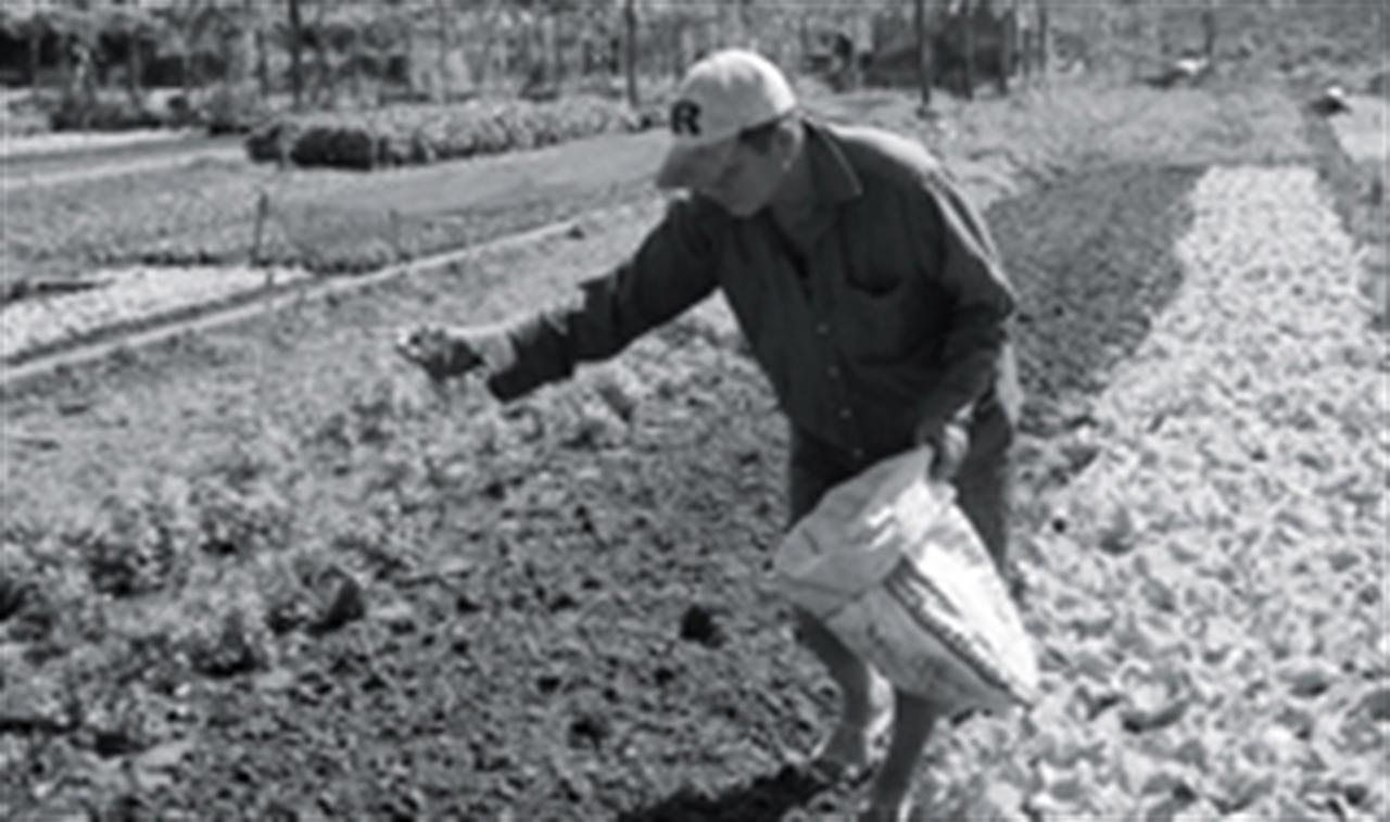 Tung hoành phân bón giả: “Nhởn nhơ” vì phạt nhẹ