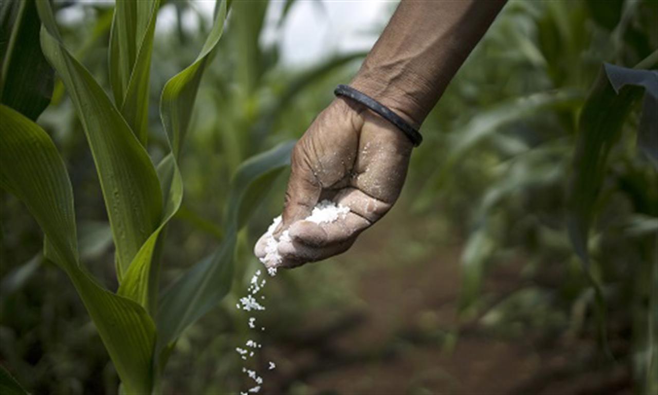 How the Russian war worsened India's fertiliser consumption balance