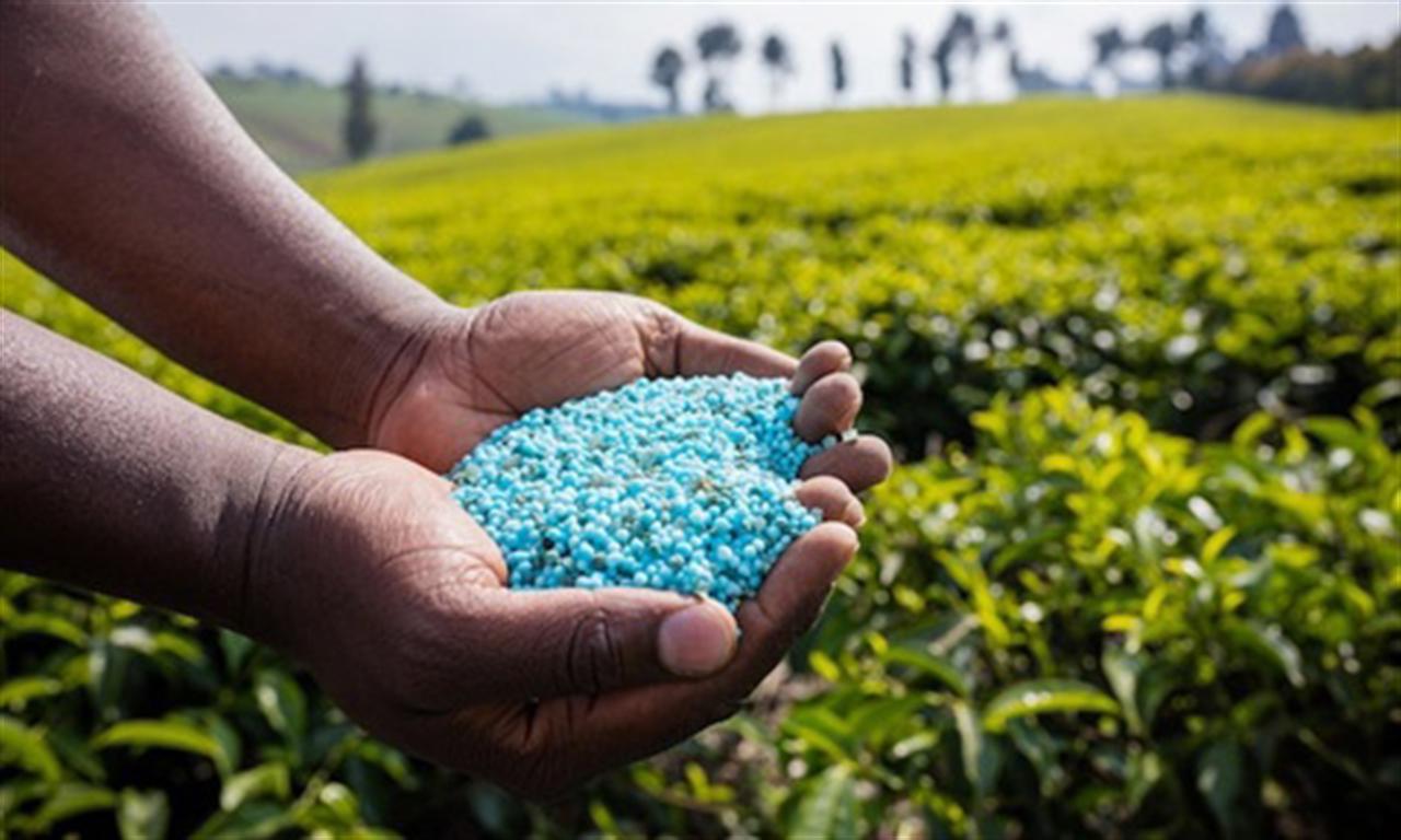 Falling affordability set to cut US autumn fertilizer demand