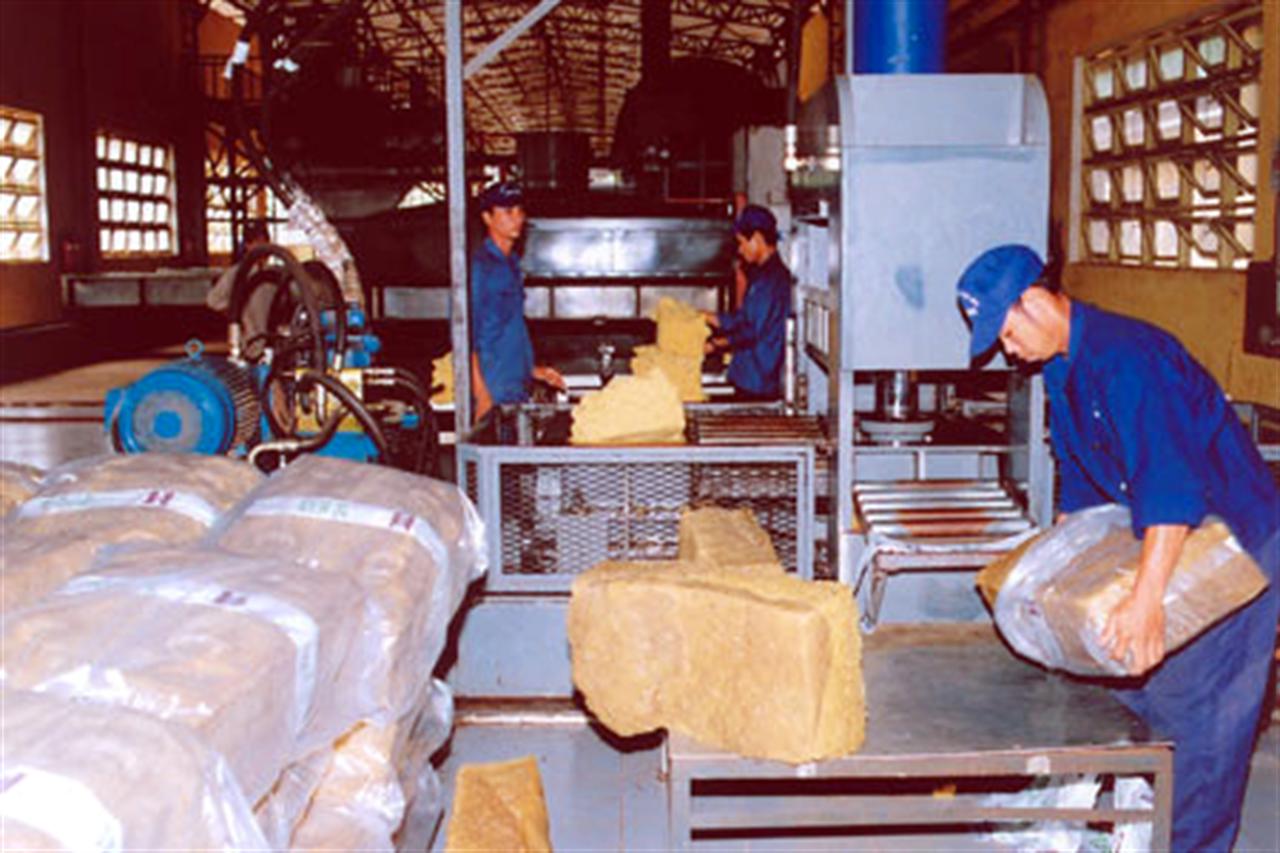 Giá cao su thế giới lập kỷ lục cao do nhu cầu mạnh trên toàn cầu