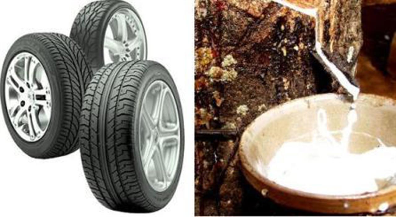 Cao su thiên nhiên - Săm lốp: Kẻ sốt vó, người ung dung