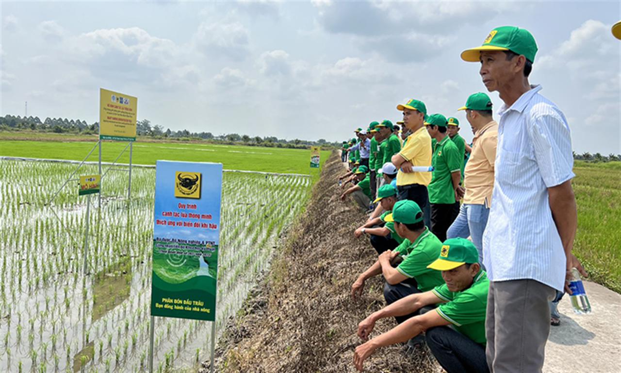 Chương trình Canh tác lúa thông minh của Bình Điền được Bộ Nông nghiệp và PTNT đưa vào đề án 1 triệu ha chuyên canh lúa chất lượng cao gắn với tăng trưởng xanh tại đồng bằng sông Cửu Long.