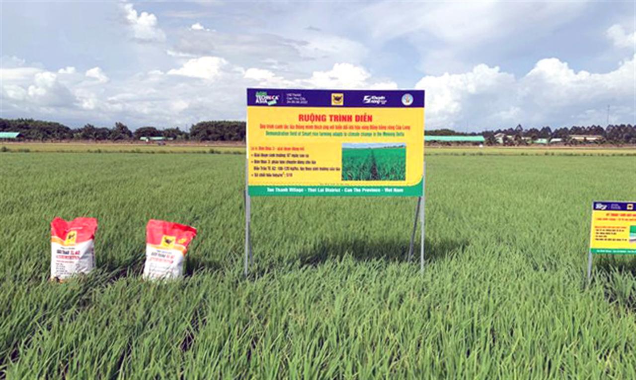 Phân bón Đầu Trâu góp sức cùng nông dân bảo vệ môi trường và sản xuất bền vững