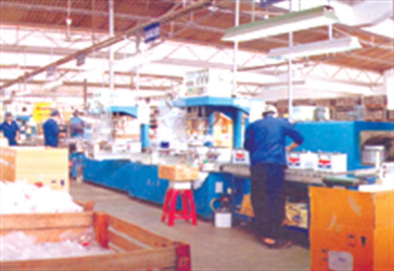 VINACHEM: Huấn luyện an toàn vệ sinh lao động năm 2010