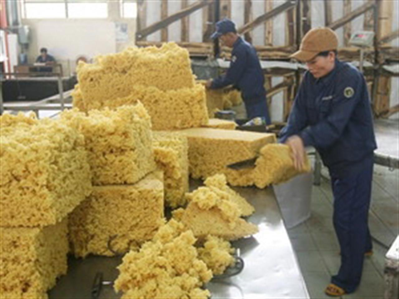 Biến động tỷ giá đẩy giá cao su tự nhiên giảm