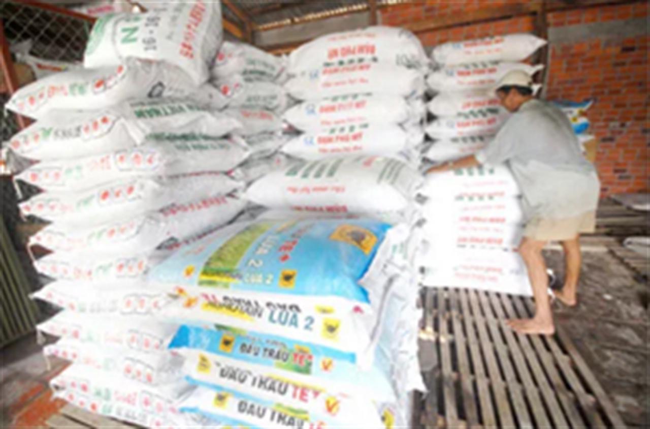 Khó triệt phân bón giả