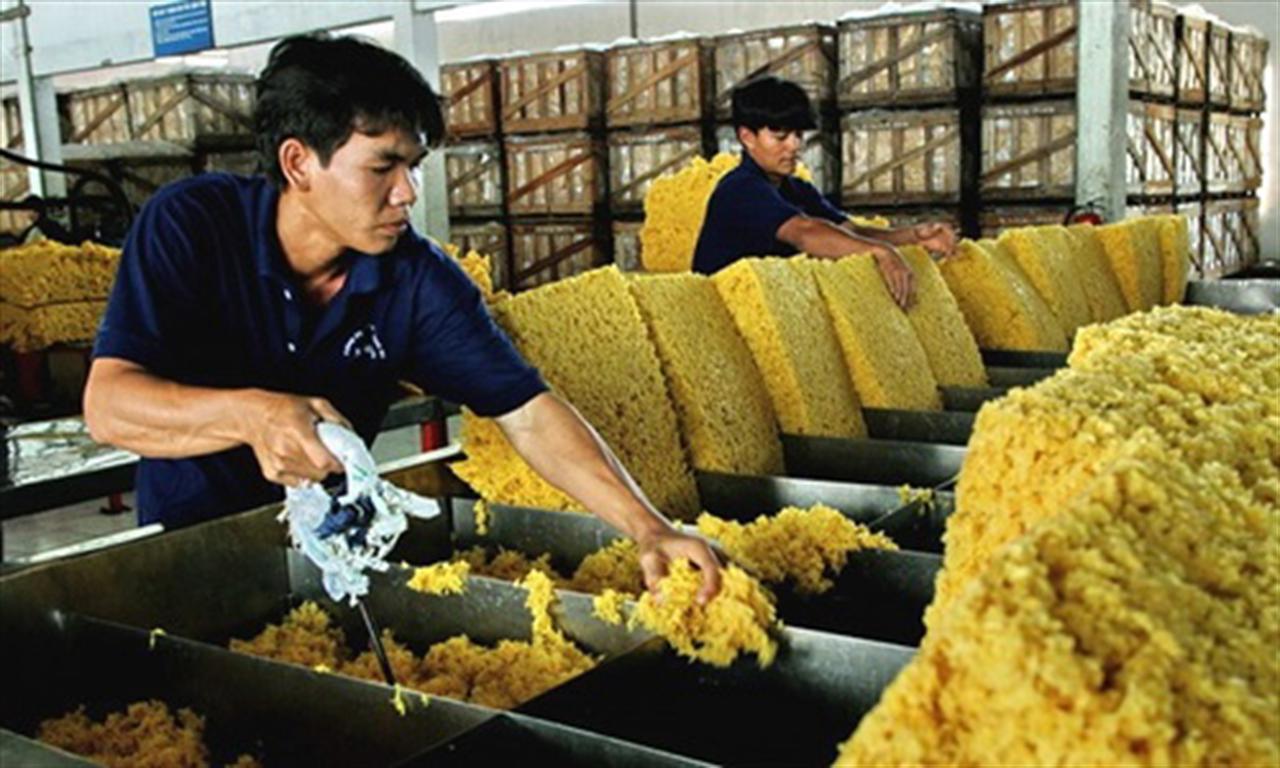 Rubber exports decrease due to demand decline in first 6 months