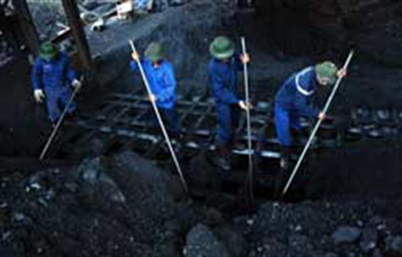 Fuel price rises hit coal electricity producers