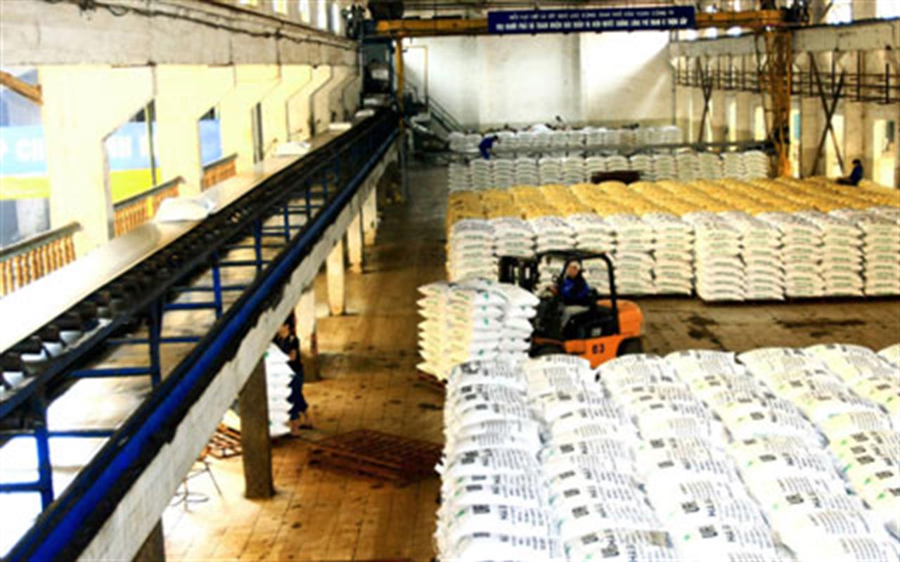 Nhu cầu sử dụng phân bón đang đà tăng mạnh