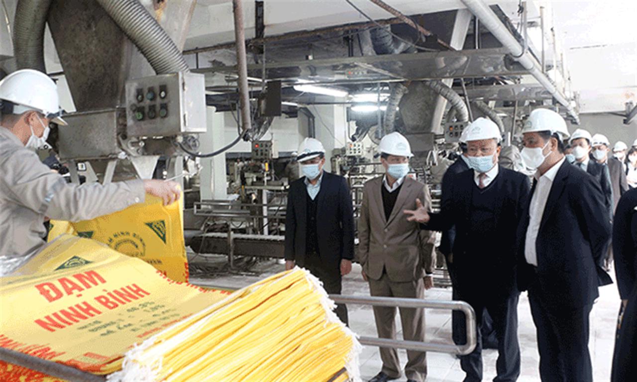 Bộ trưởng Bộ Công Thương thăm, chúc Tết người lao động Công ty TNHH MTV Đạm Ninh Bình