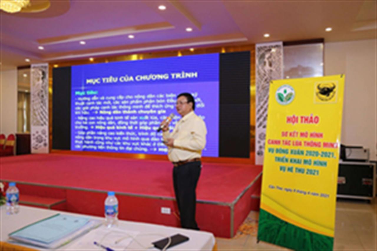 Canh tác lúa thông minh: Bình Điền "đại thắng" với 100% mô hình cho lợi nhuận cao hơn